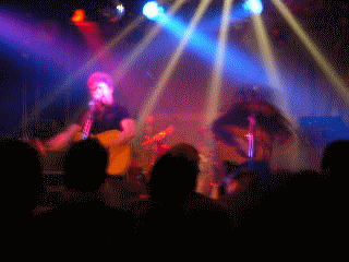 Save the Picket Gig, 2003