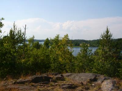 View to local beach