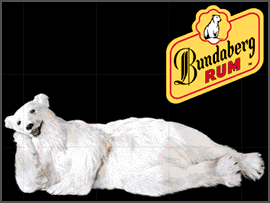 Bundy Bear