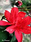 DSCN3631.JPG