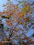 DSCN3601.JPG