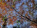 DSCN3602.JPG