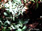 DSCN3664.JPG