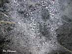 DSCN3913.JPG