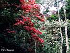 DSCN3973.JPG