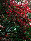 DSCN3978.JPG