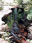 DSCN4053.JPG