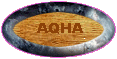 American Quarter Horse Association