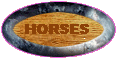 Horses Available for Sale