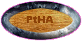 Pinto Horse Association