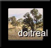 link to doitreal, now at www.flesegami.com, You are the world.