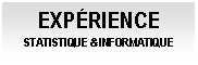 Cuadro de texto: EXPÉRIENCE STATISTIQUE & INFORMATIQUE