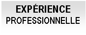 Cuadro de texto: EXPÉRIENCE PROFESSIONNELLE

