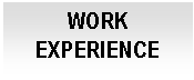 Cuadro de texto: WORK EXPERIENCE