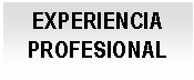 Cuadro de texto: EXPERIENCIA PROFESIONAL