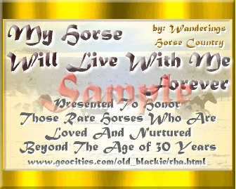 My Horse Will Live Forever