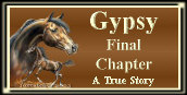 Click to read Gypsy's last words