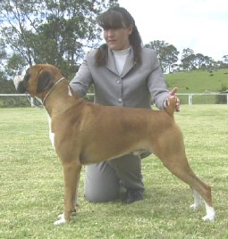 Rupert one year old