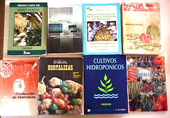 Fotos de las portadas de los libros más usados en la materia.