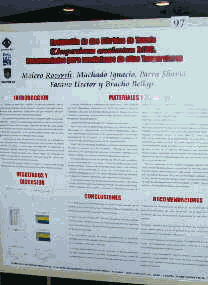 Poster de trabajos de investigacin presentados en la reunion interamericana de horticultura.