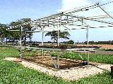 Sistema de alta tecnologa para la produccin de plantula. (Granja Ana Mara Campos)