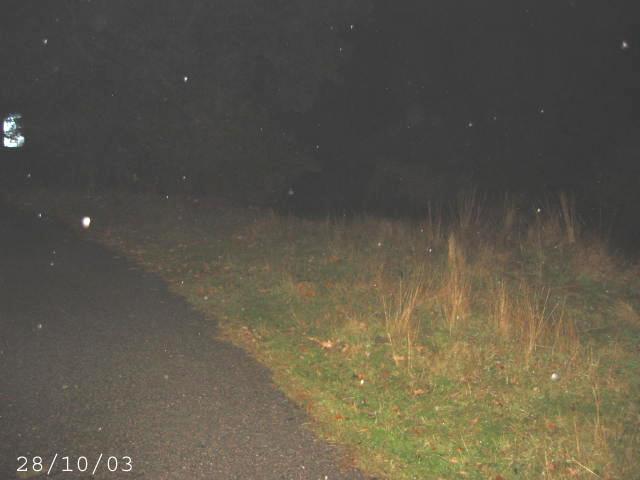 Cycle Path Ghost