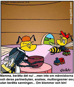 blommor&bin