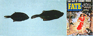 Fish & Fate magazine