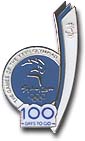 100 Days to Go Pin