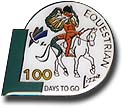100 Days to Go Paralympic Pin