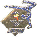 AMP Gymnast Sponsor Pin