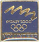 Volunteer bid Pin