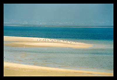 Ria Formosa, Algarve, Portugal
