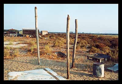 Ria Formosa, Algarve, Portugal