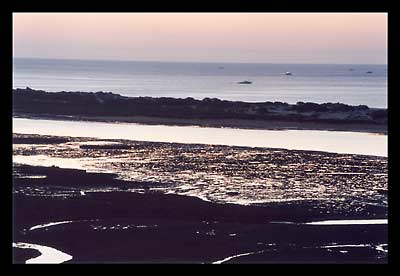 Ria Formosa, Algarve, Portugal