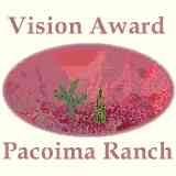 The Vision Award
