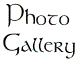 View our photos