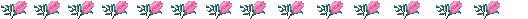 rose line