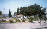 wpe78824.gif (141040 bytes)