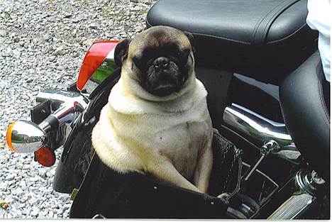 I love Bikes