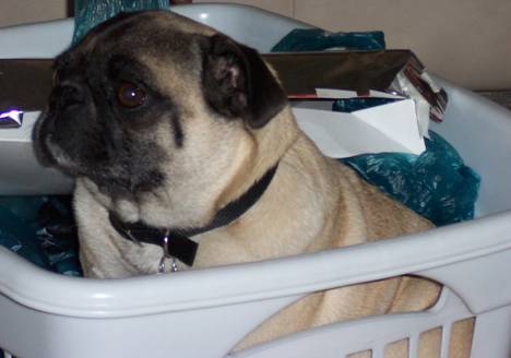 I can also do laundry