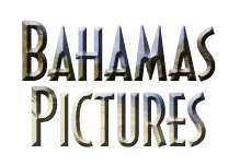 Our Bahamas Pictures!