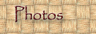Field Family Photographs