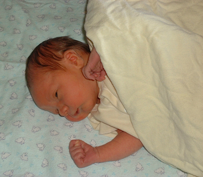 Willaim Alexander Field