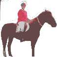 Pony Club Rider