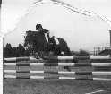 110 cm Showjumping