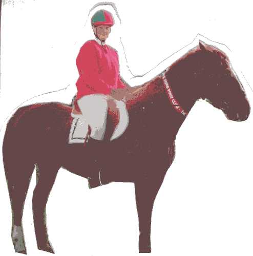 Pony Club Rider
