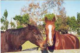 Josie and Advantage