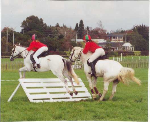 Dual Jump Competition