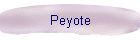Peyote